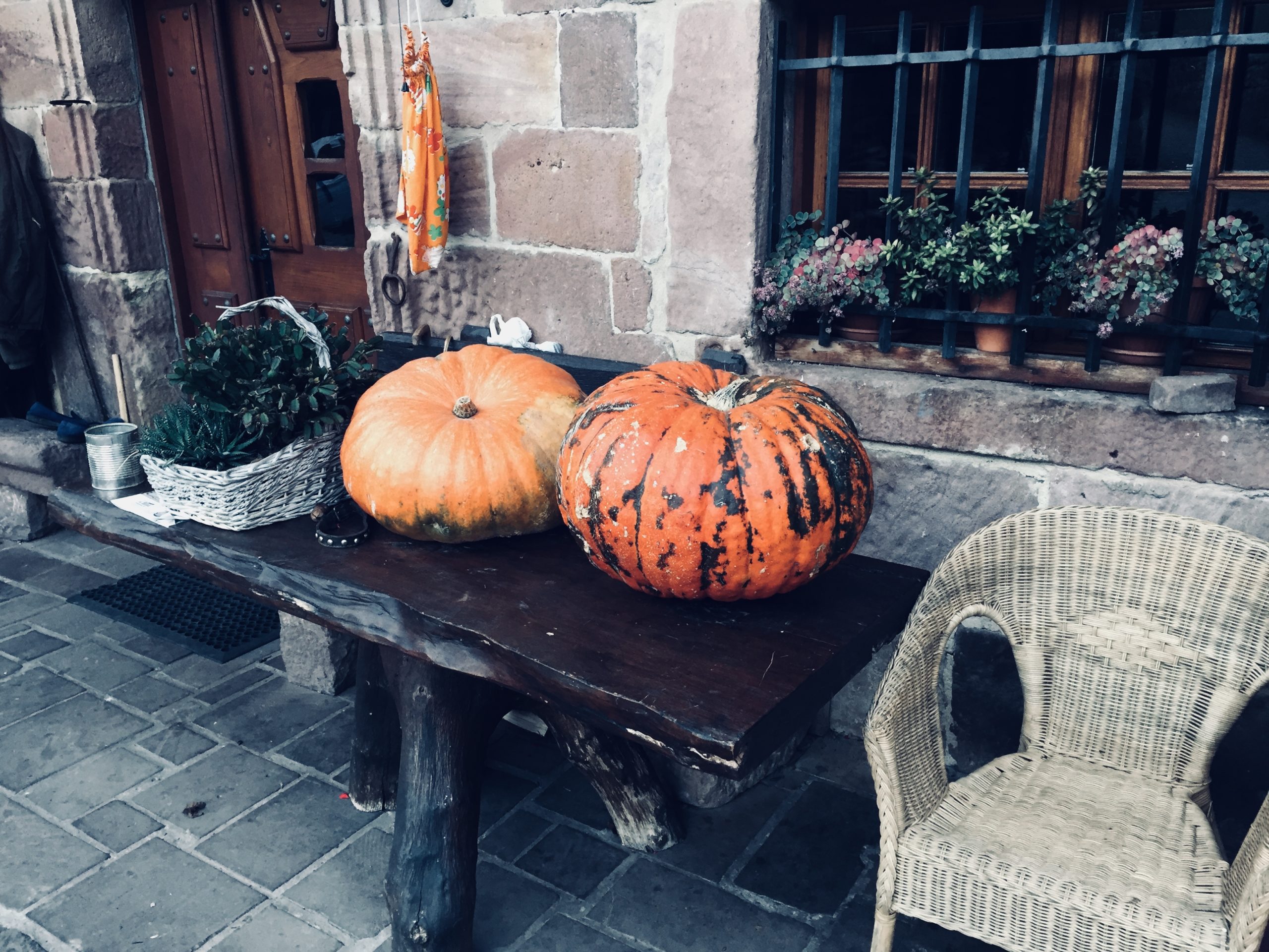 Calabazas de Samaín